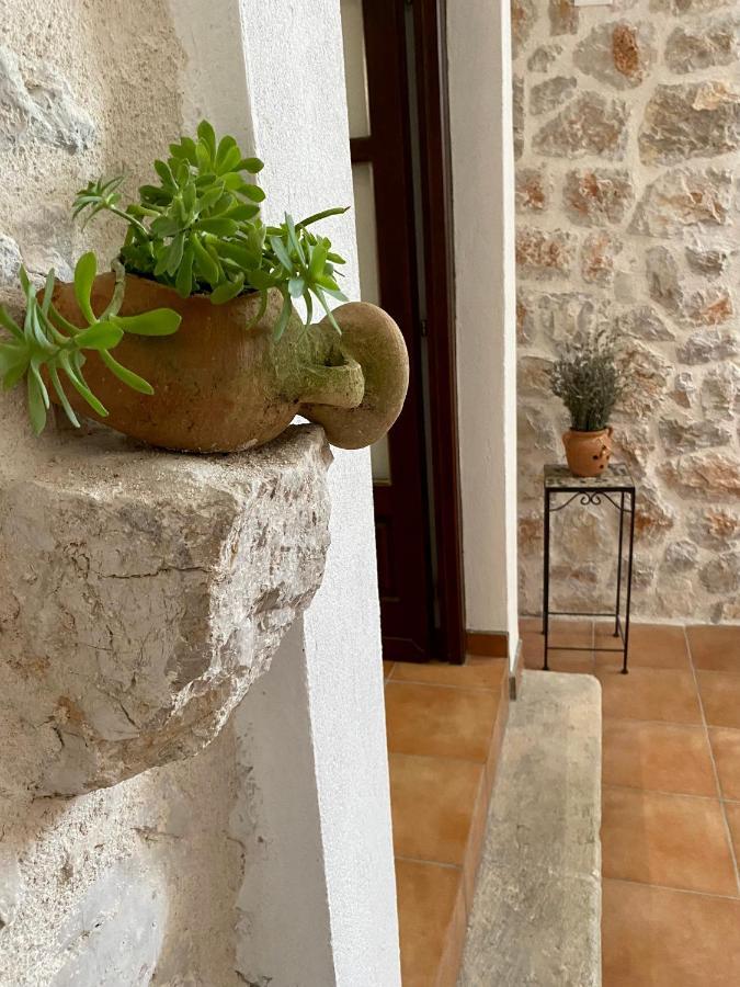 Villa Mediterranea Murter Zewnętrze zdjęcie