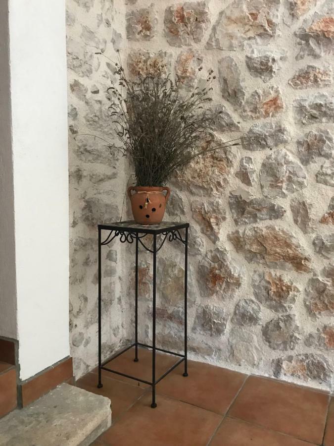 Villa Mediterranea Murter Zewnętrze zdjęcie